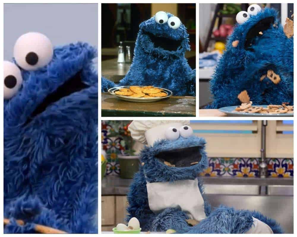 Cookie Monster - blue cartoon characters