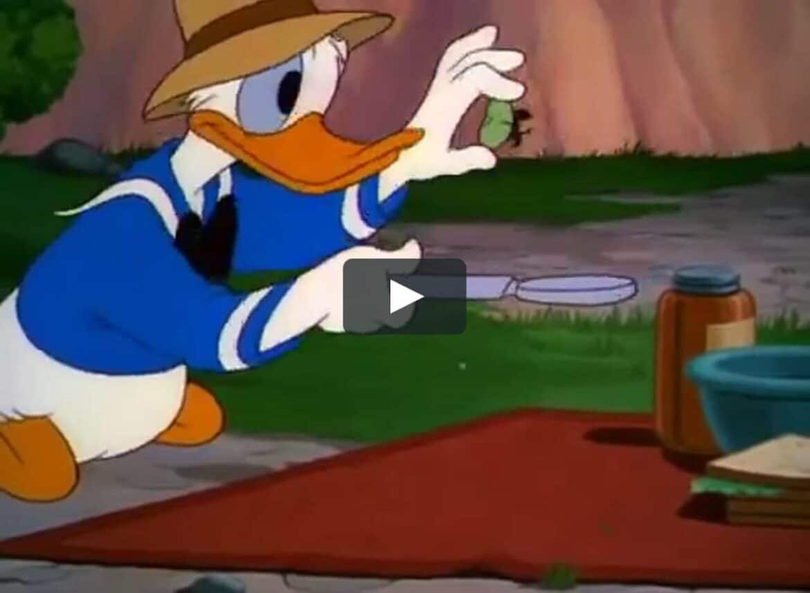 Donald's Quack Attack
