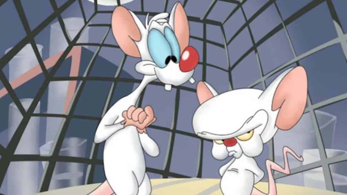 Pinky - From Pinky & The Brain