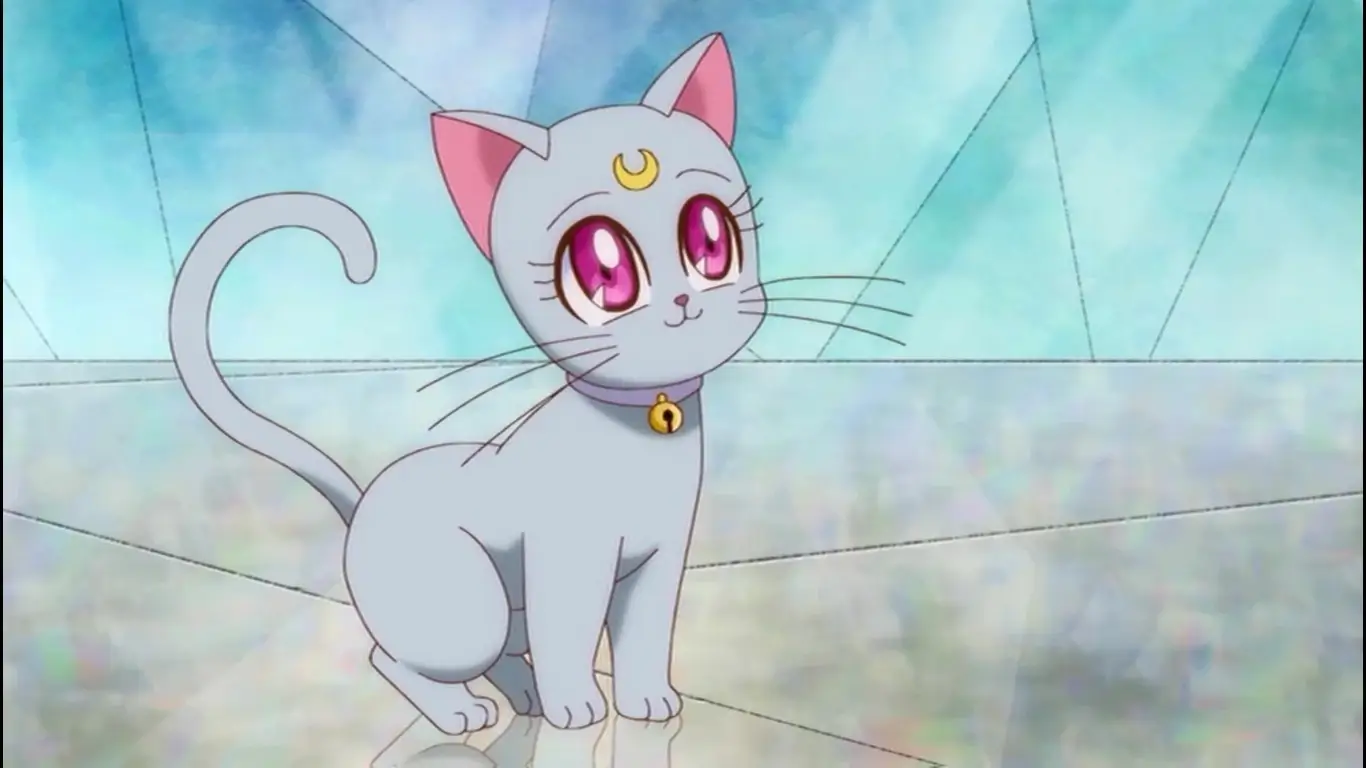 Diana - Sailor Moon - Grey cat Character