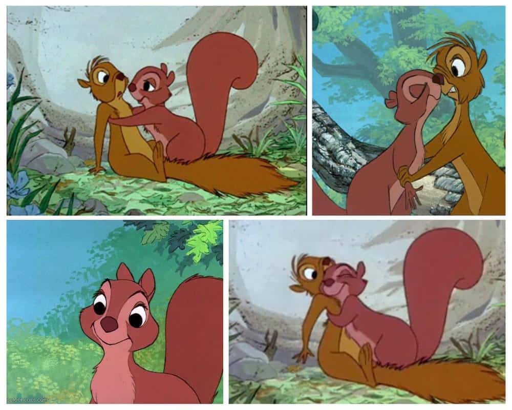 famous cartoon squirrels