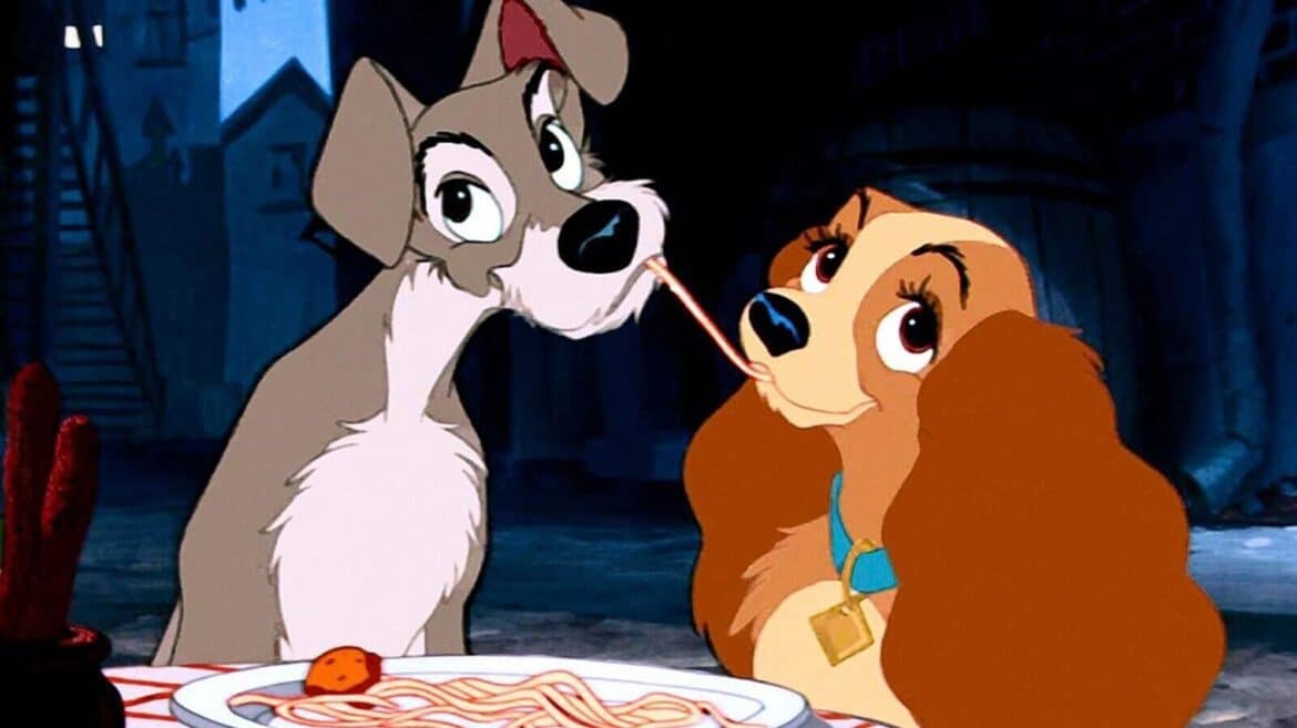 The Tramp - Lady and The Tramp